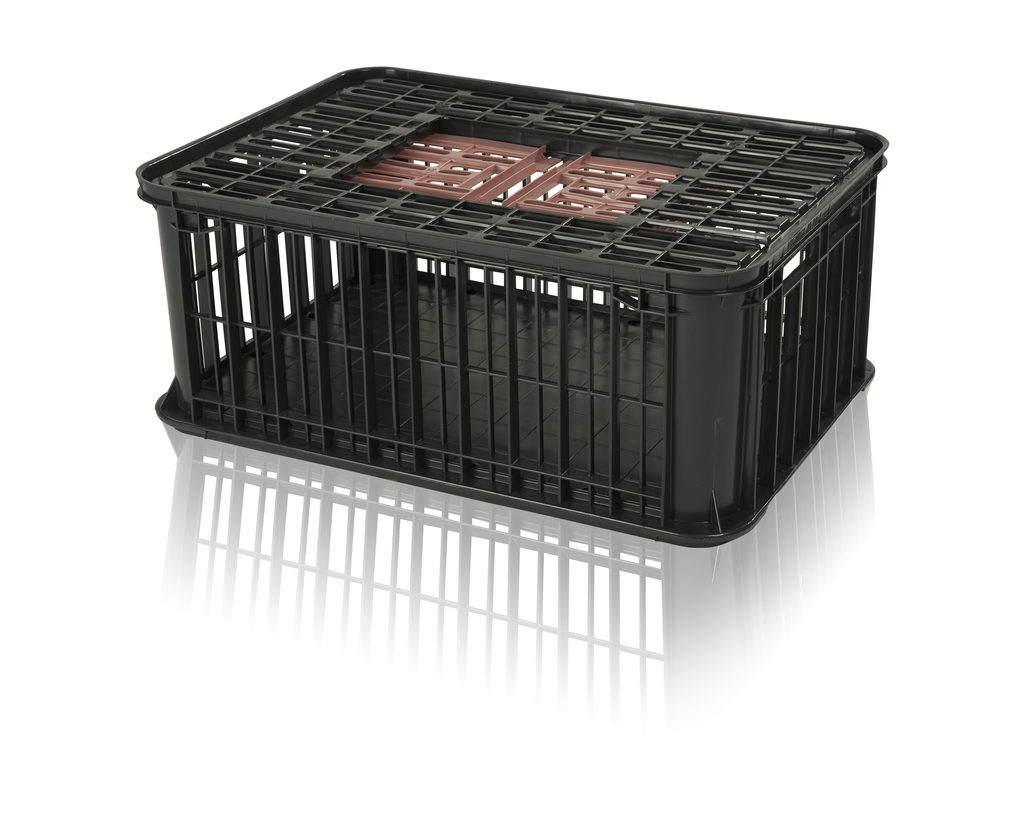 Přepravní boxy