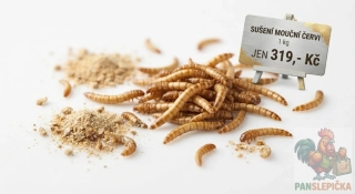 Sušení mouční červ 1Kg